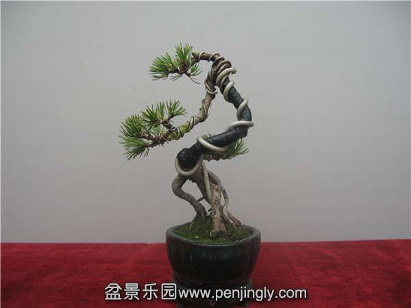 IMG_2971.JPG