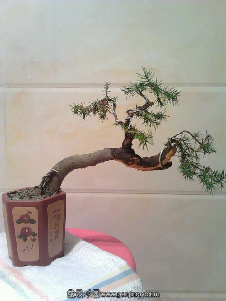 QQͼƬ20131115201120.jpg