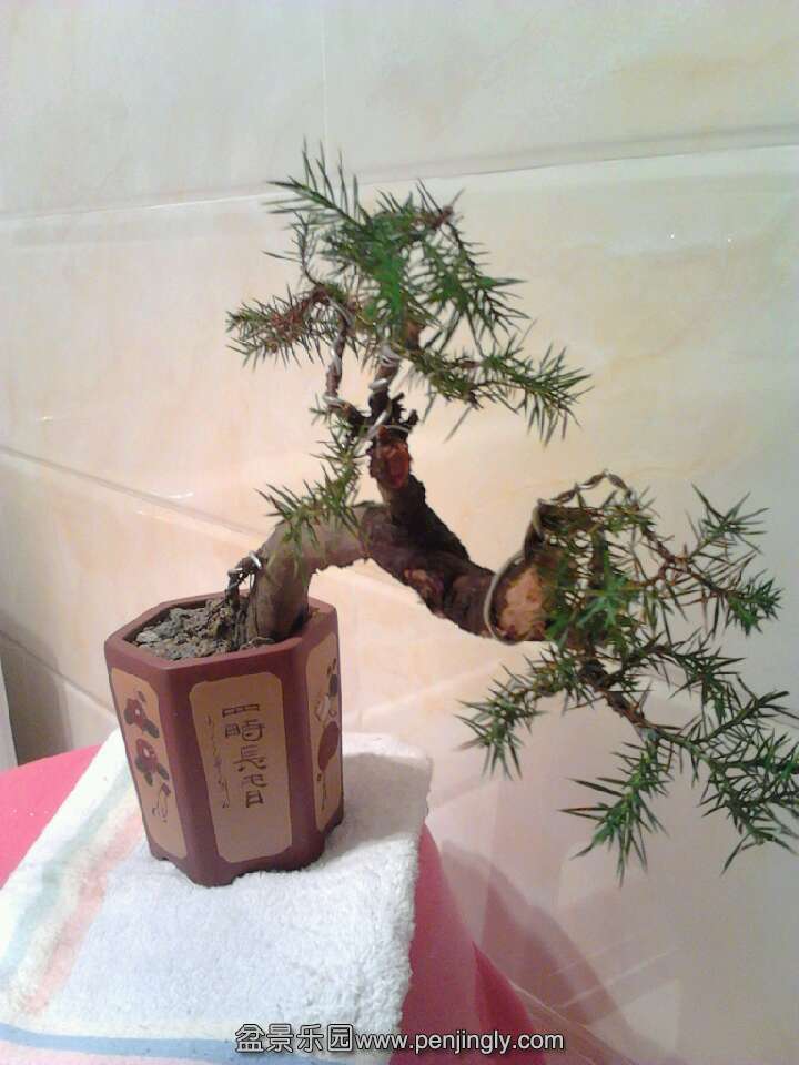 QQͼƬ20131115201133.jpg
