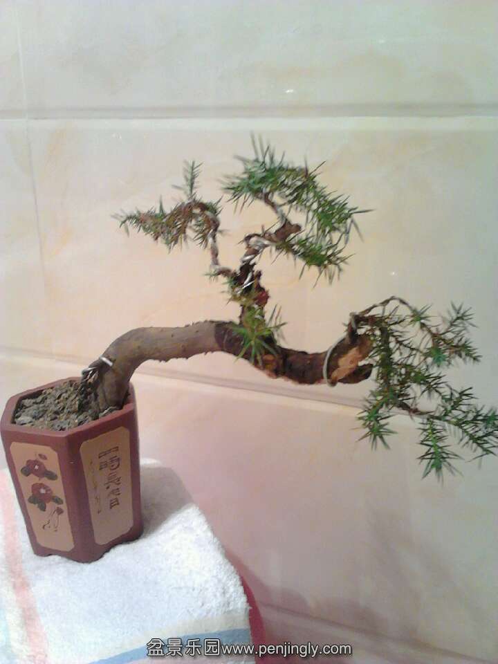 QQͼƬ20131115201312.jpg