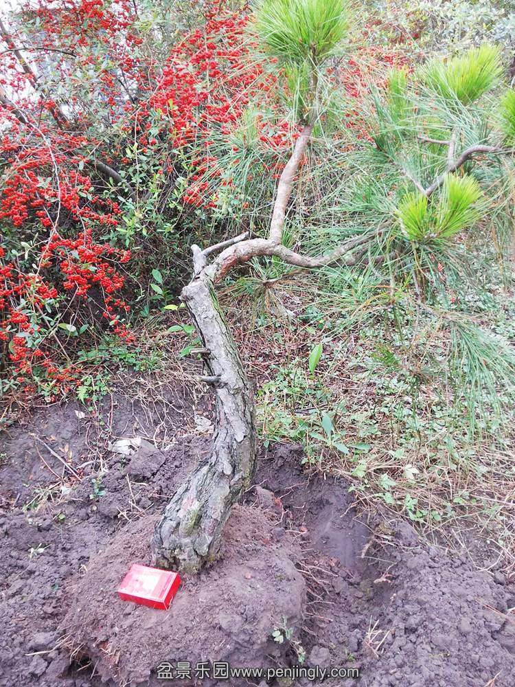 20131115_100213.jpg