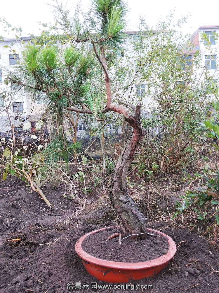 20131115_104227.jpg