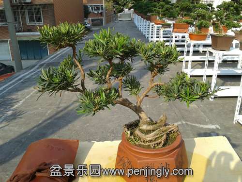 2013-11-13 13.34.15.jpg