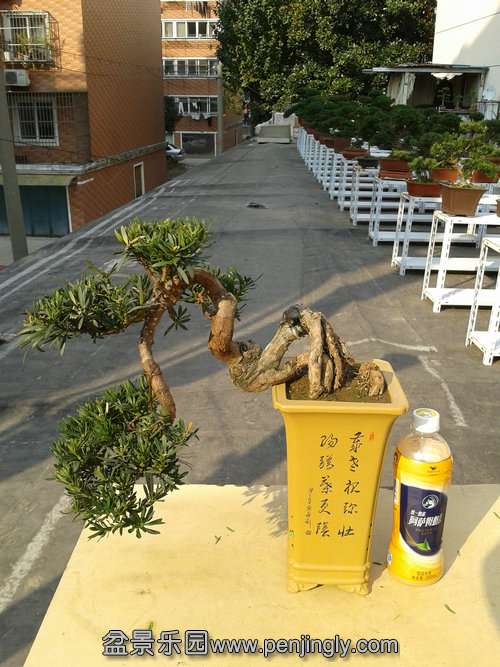 2013-11-13 14.02.33.jpg