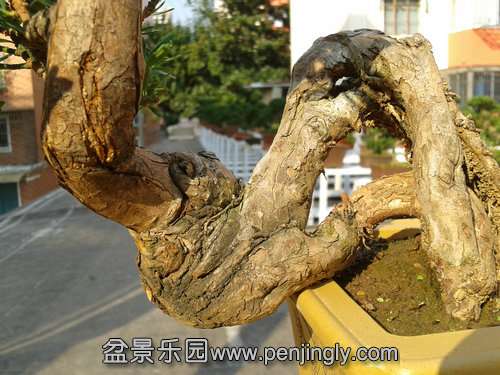 2013-11-13 14.04.05.jpg