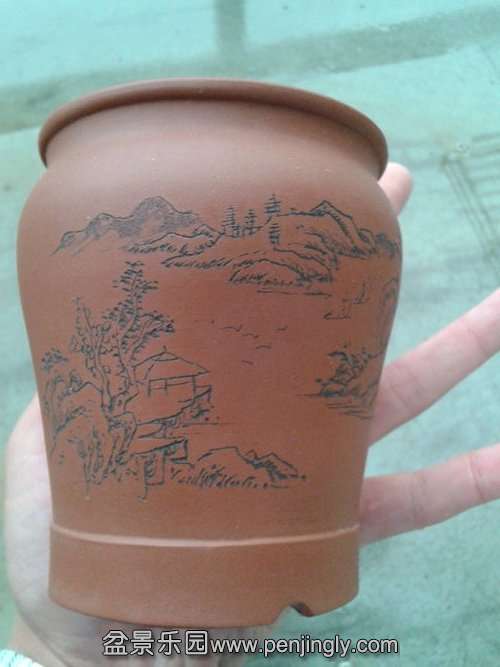 2013-11-14 13.38.56.jpg