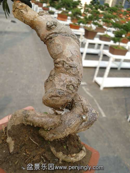 2013-11-15 13.14.54.jpg