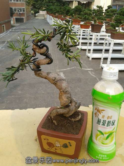 2013-11-15 13.15.44.jpg