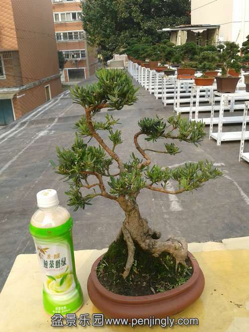 2013-11-15 13.20.25.jpg