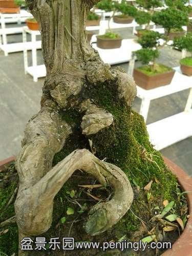 2013-11-15 13.21.10.jpg