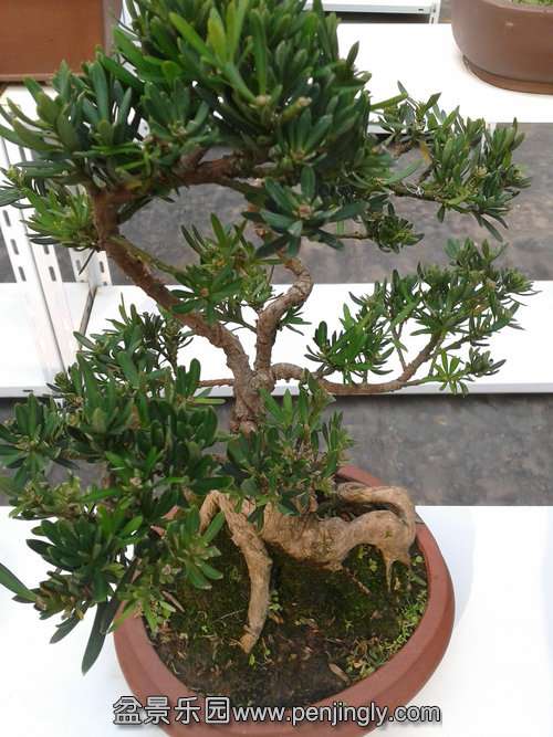 2013-11-15 13.25.30.jpg