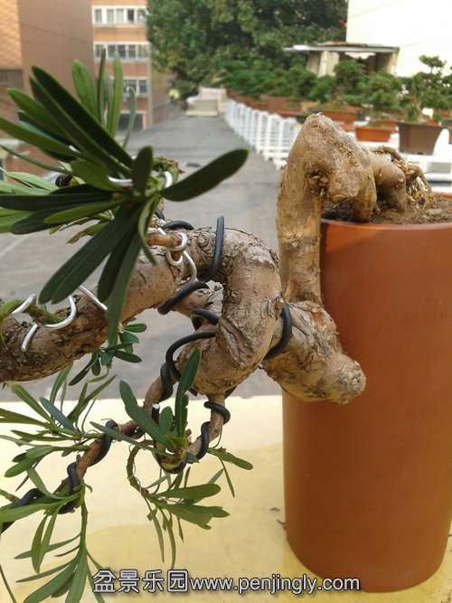 2013-11-15 13.28.57.jpg