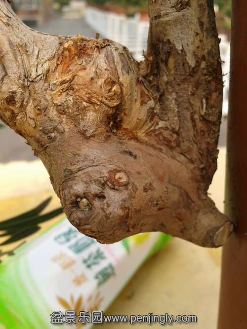 2013-11-15 13.33.41.jpg