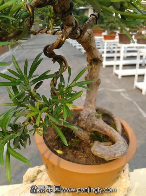 2013-11-15 13.53.32.jpg