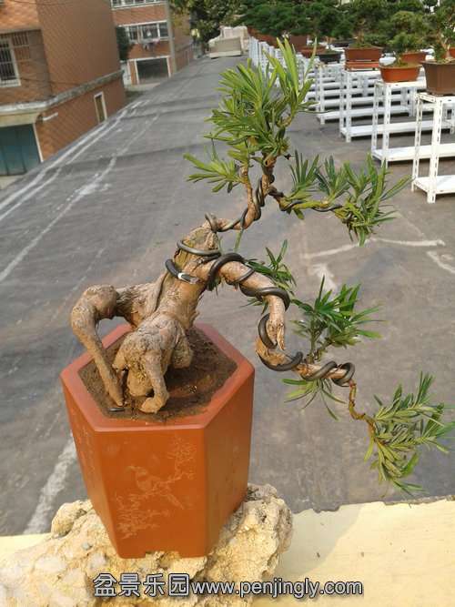 2013-11-15 13.58.43.jpg