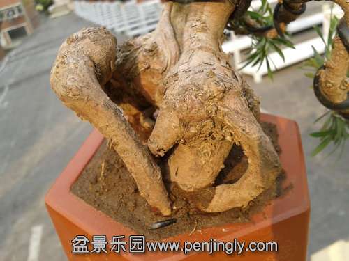 2013-11-15 13.58.57.jpg