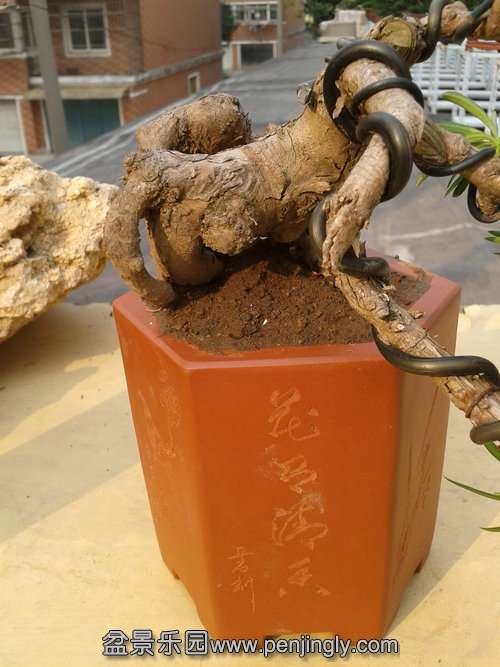 2013-11-15 14.03.19.jpg