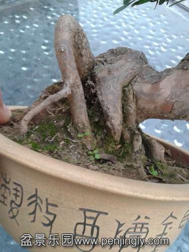 2013-11-15 16.55.10.jpg