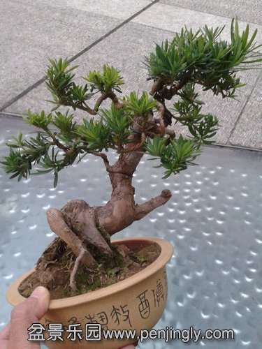 2013-11-15 16.59.11.jpg