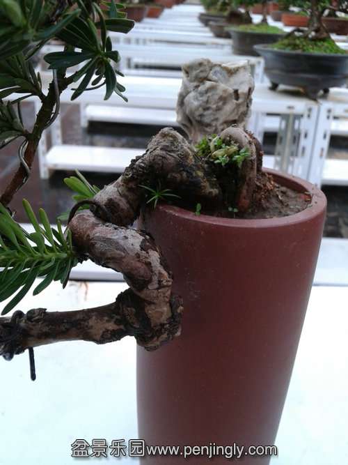 2013-11-08 16.14.45.jpg