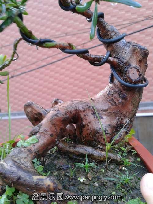 2013-11-08 16.37.05.jpg