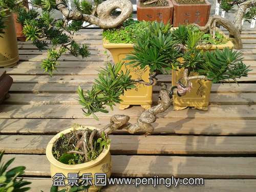 2013-11-09 12.55.44.jpg