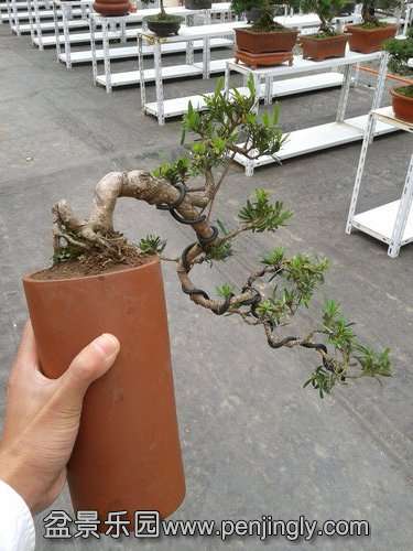 2013-11-12 14.07.41.jpg