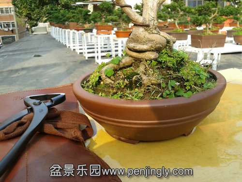 2013-11-13 13.27.53.jpg