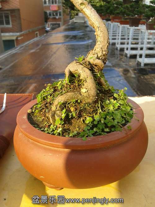 2013-11-04 14.49.49.jpg