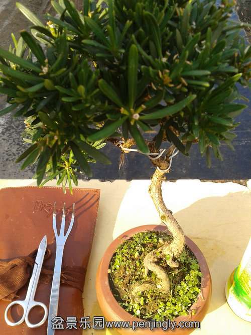 2013-11-04 14.50.03.jpg