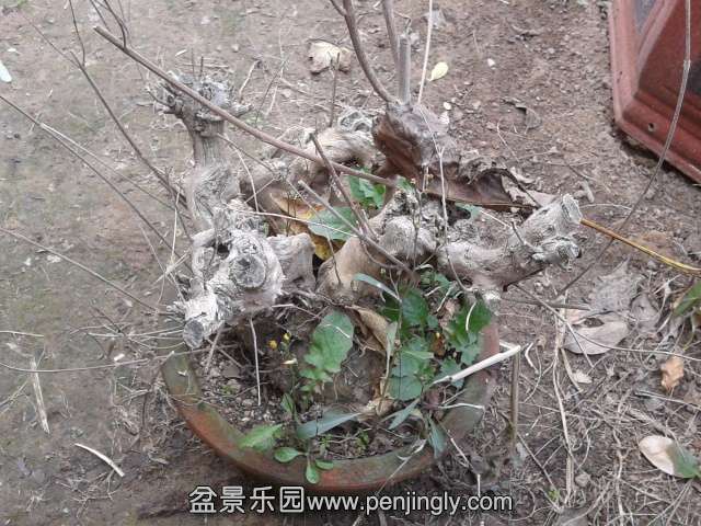 2013-11-16 11.52.42.jpg