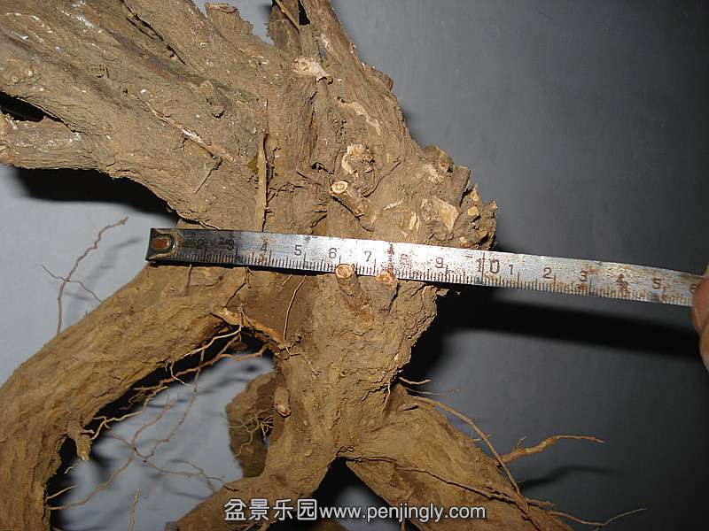DSC06600_.jpg