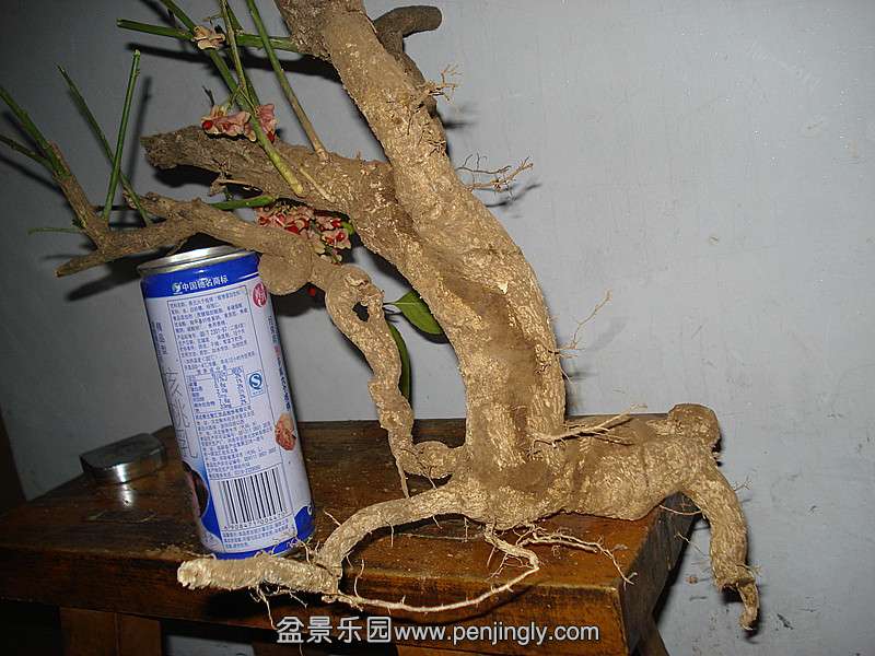 DSC06613_.jpg