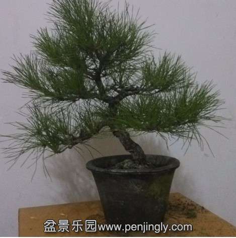 QQͼƬ20131117195933.jpg