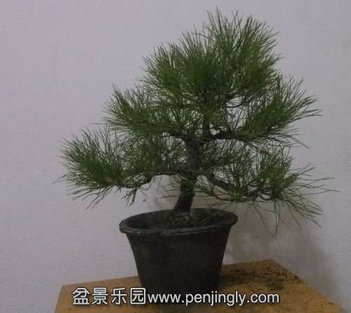 QQͼƬ20131117200009.jpg