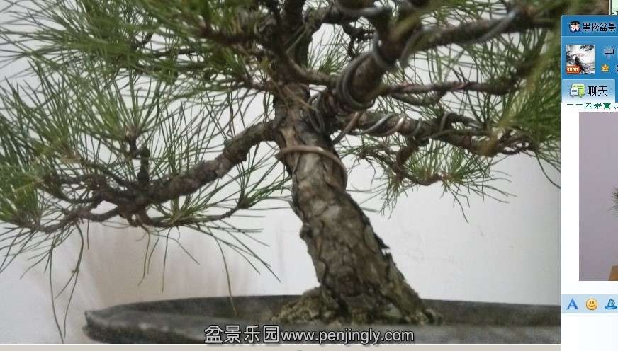 QQͼƬ20131117200102.jpg