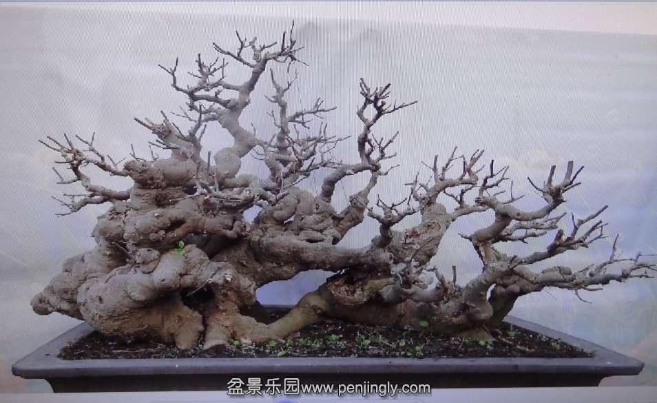 QQͼƬ20131118072701.jpg