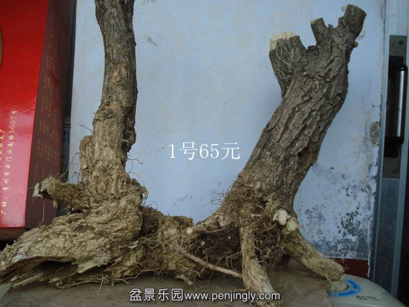 DSC06664_.jpg