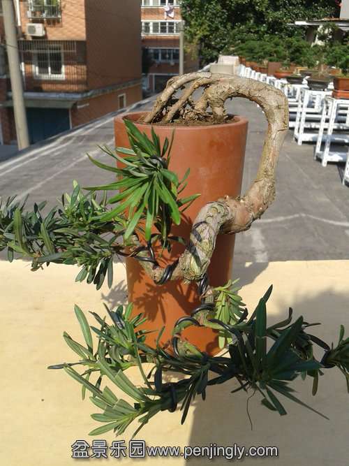 2013-11-18 12.16.43.jpg