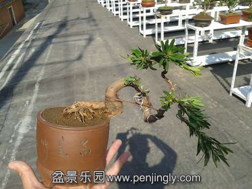 2013-11-18 12.28.51.jpg