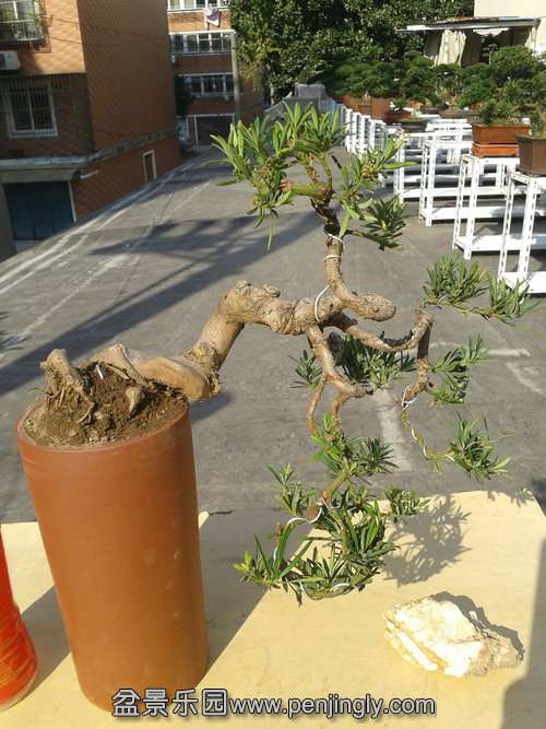 2013-11-18 13.17.06.jpg