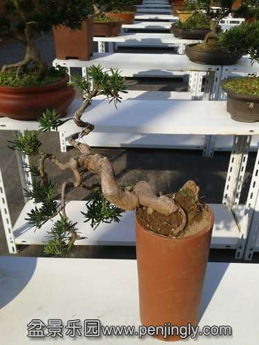 2013-11-18 13.24.24.jpg