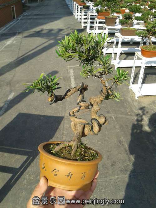 2013-11-18 13.31.31.jpg