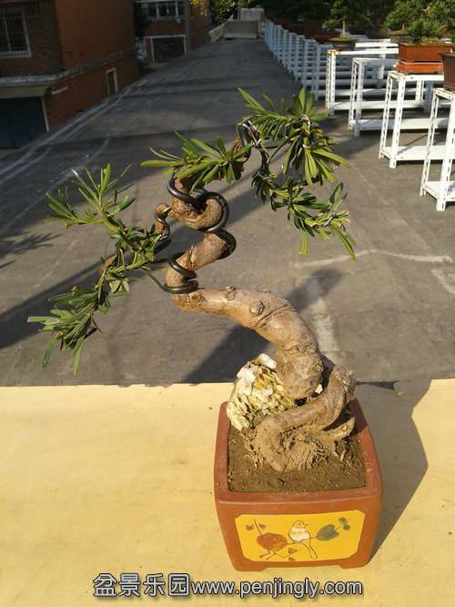 2013-11-18 13.47.36.jpg
