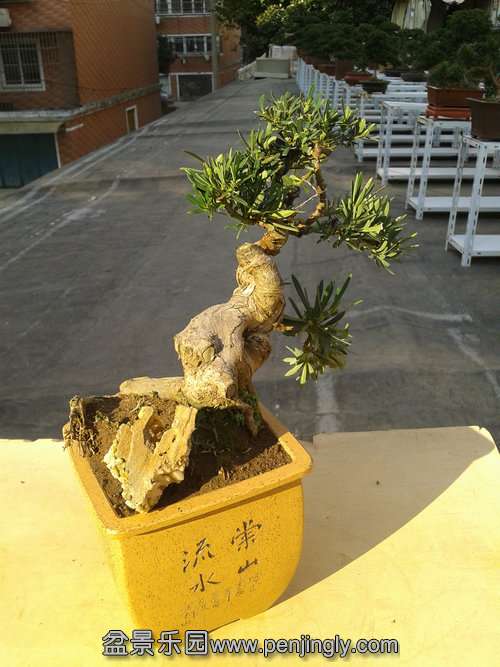 2013-11-18 14.39.31.jpg