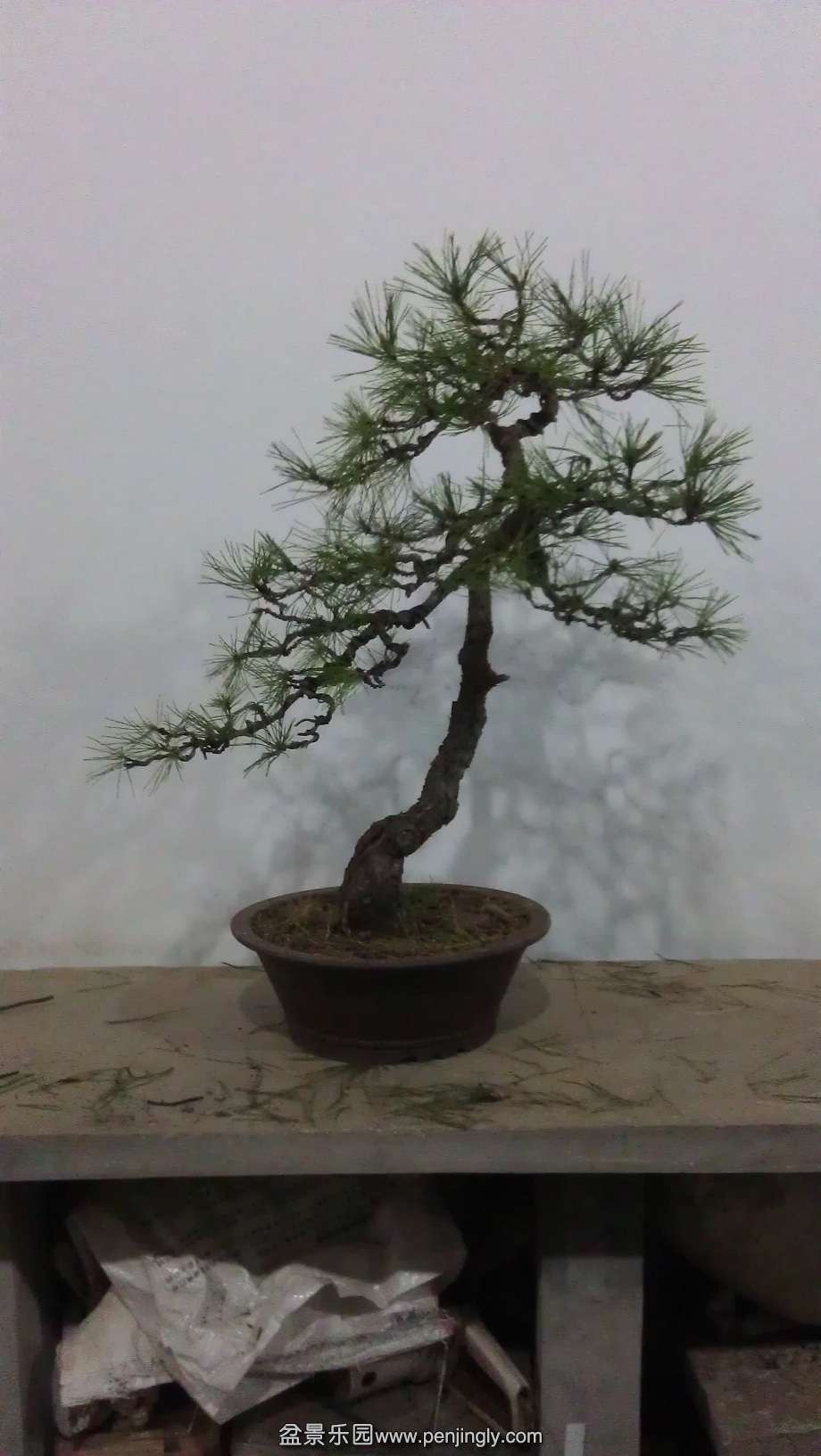 IMAG03457.jpg