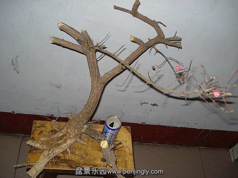 DSC06618_.jpg