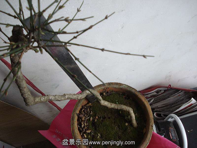 DSC06668_.jpg