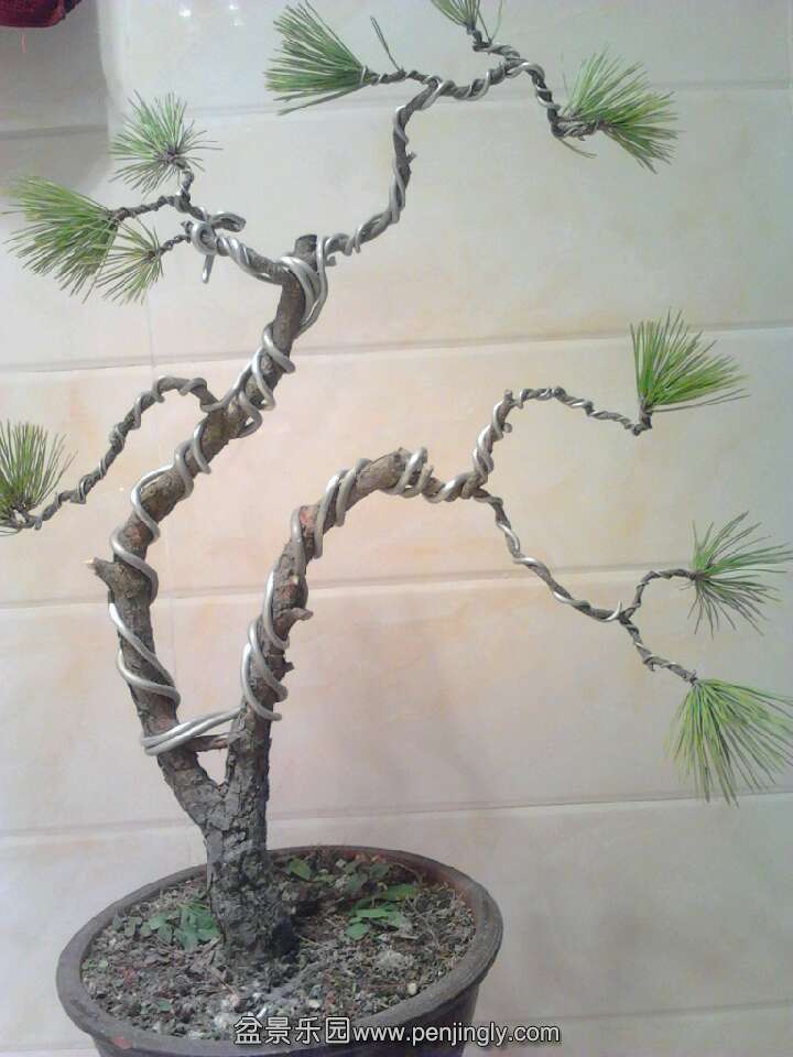 QQͼƬ20131119211607.jpg