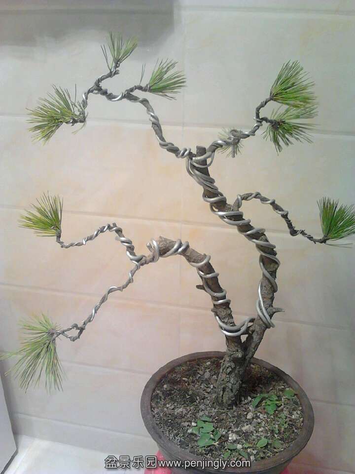 QQͼƬ20131119211616.jpg
